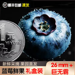 丹东蓝莓新鲜水果高端孕妇水果脆甜特大鲜果宝宝辅食