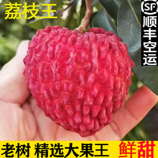 海南荔枝王荔枝新鲜水果白糖无核整箱10斤孕妇礼盒桂糍笑顺丰包邮