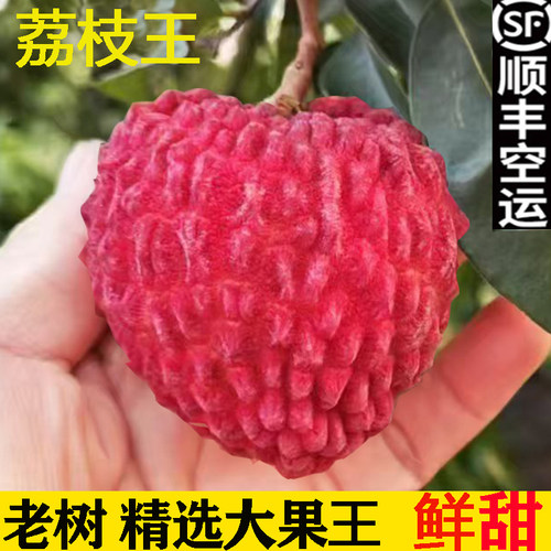 海南荔枝王荔枝新鲜现摘礼盒顺丰