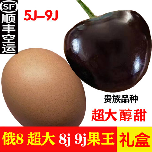 大连俄8樱桃9j车厘子8j美早礼盒