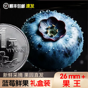 丹东蓝莓新鲜水果高端孕妇脆甜特大鲜果L25花香蓝莓宝宝辅食顺丰