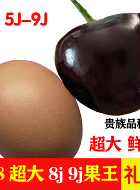 俄8大樱桃9j大连樱桃8j俄罗斯八号车厘子美早7j新鲜水果5斤礼盒