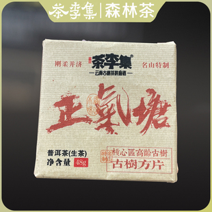 【茶李集】2024年正气塘 古树生茶方片48g/片
