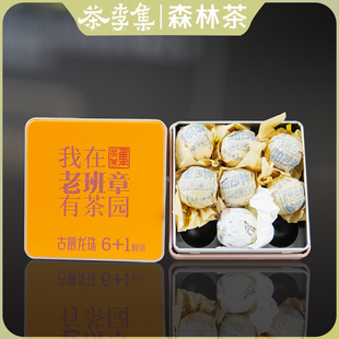 【茶李集】2025年老班章古树纯料生茶龙珠6颗生茶+1颗白茶