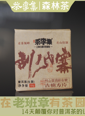 【共两片96克】2024年拍4发5 刮风寨 古树生茶方片48g2片