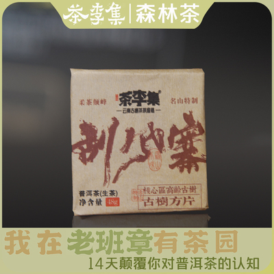 【共两片96克】2024年拍4发5 刮风寨 古树生茶方片48g2片