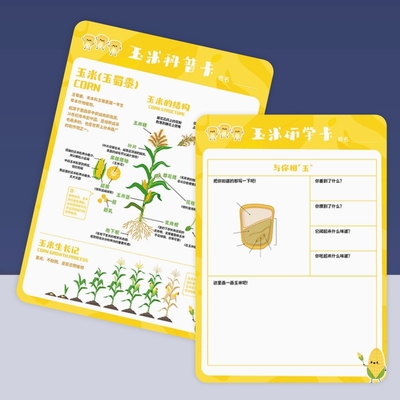 夏令营研学学邀请卡任务卡定制