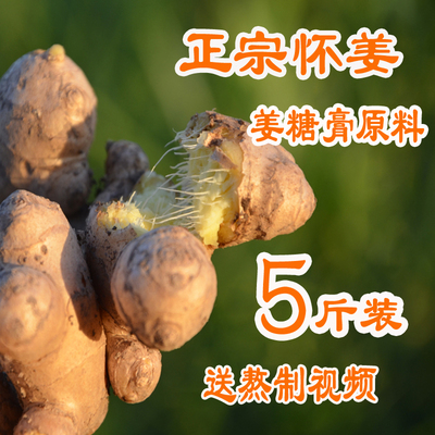 焦作博爱新鲜怀姜土姜姜糖膏老姜