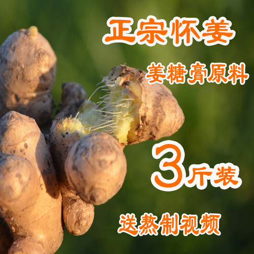 新鲜焦作博爱上庄山王原料老姜