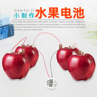 DIY自制水果电池发电锌铜片土豆科技小制作小发明科学小实验套装