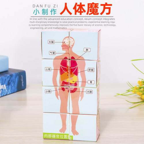 旦夫子diy人体魔方科学实验套装