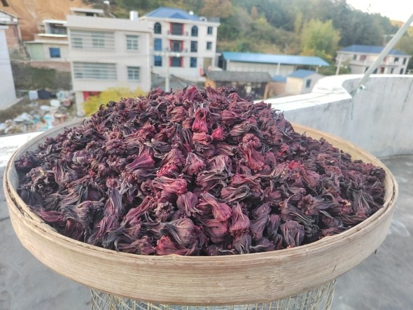当年一斤新货干品发洛神花玫瑰茄鲜果红桃K酸梅汤泡酒茶包邮