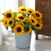 向日葵小太阳鲜花小花苞需要养开云南基地直发花瓶插花水养鲜切花