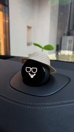 蔚来汽车nomi帽子装饰夏日发箍小豆芽草帽福利特价合计