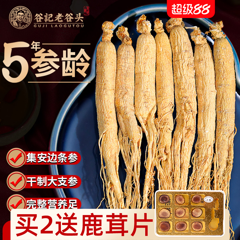 老谷头长白山人参东北特产干参泡酒煲汤白参整支生晒参山参礼品