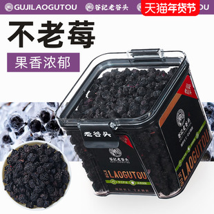 老谷头不老莓黑果花楸果不老梅小黑果腺肋花楸果茶长白山不老莓