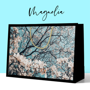 轻奢礼品袋服装店手提袋高级感生日节日礼物袋创意加厚大号纸袋子