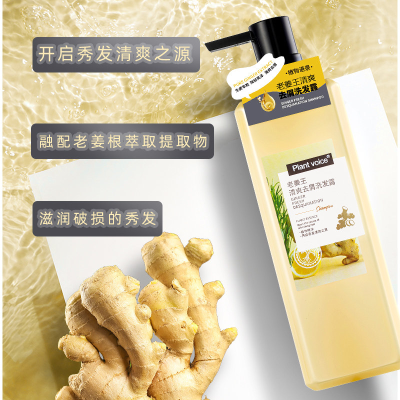 植物语录老姜王清爽去屑洗发露生姜萃取滋润秀发柔顺飘逸