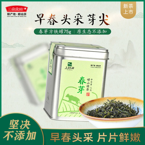 早春精工手艺茶 松针工艺