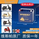 LXV150电池12V通用GTS 猛狮摩托车电瓶GTV300维斯帕VESPA锂GTS250