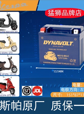 猛狮摩托车电瓶GTV300维斯帕VESPA锂GTS250 LXV150电池12V通用GTS