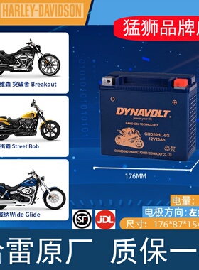 用于本田GL1800金翼F6B F6C凯旋火箭3哈雷戴娜豪雅电瓶GYZ20L电池