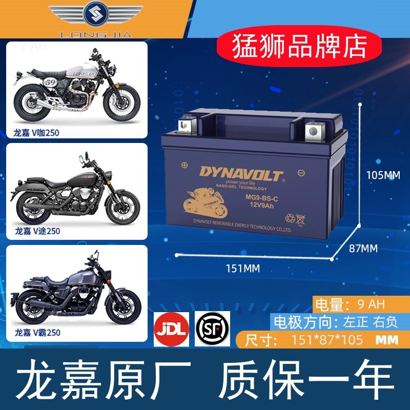 龙嘉V咖250i VMAX300ie巡航太子V途TR300T电瓶12V蓄电池,摩托车/装备/配件,摩托车电瓶,淘宝优惠券,粉丝福利购,淘宝优惠卷