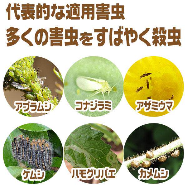 新款蚜虫蓟马潜叶蝇白粉虱 球日本产植物除虫喷雾进口安全高效1升