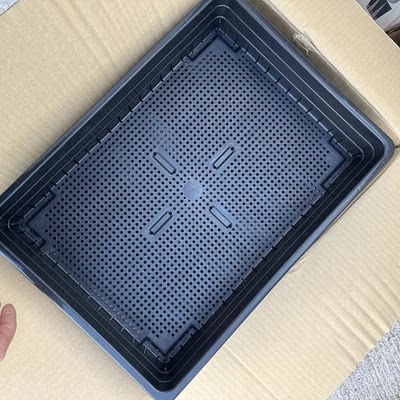 树脂简约日本原装扦插花箱