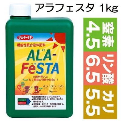 日本产ALA增强植物叶绿素