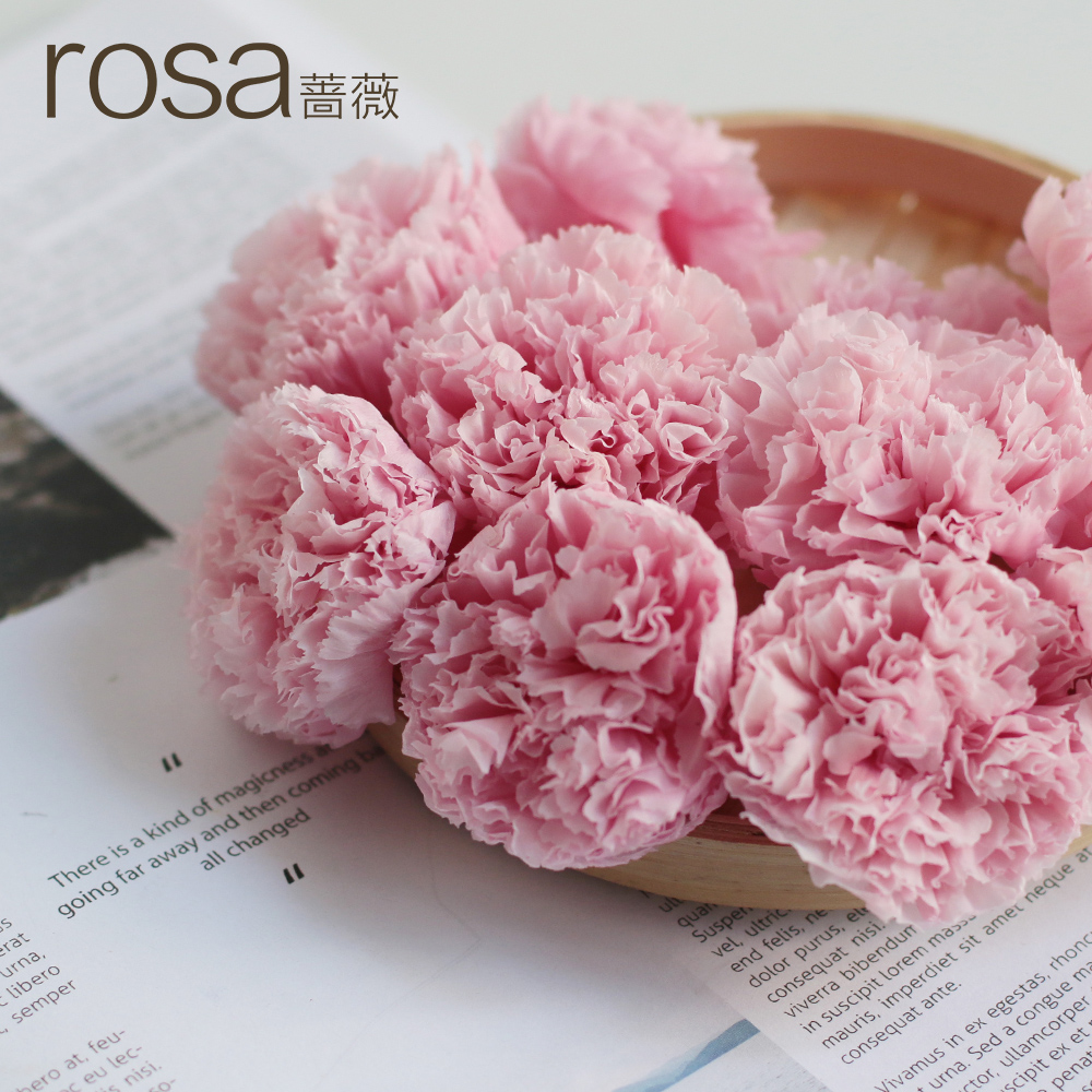 ǾޱĸÇ×½Ú¹ú²úÓÀÉú»¨±£ÏÊ»¨¿µÄËܰ·ÛÉ«ÖкÅËÍĸÇ×ÀñÎï²ÄÁϰüDIY
