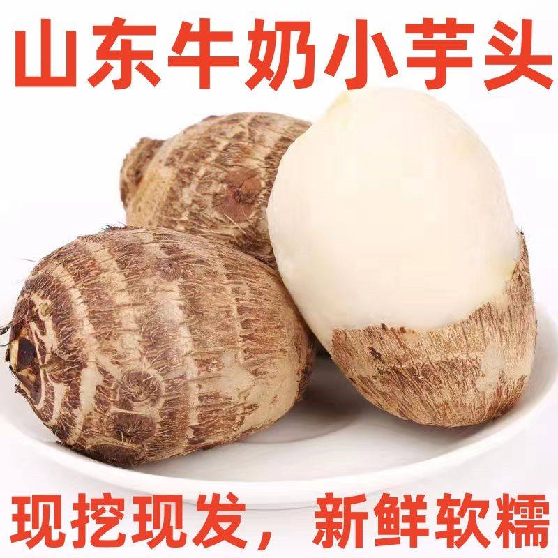 2024年现挖现发山东牛奶芋头新鲜芋艿宝宝辅食软糯好吃坏果包赔
