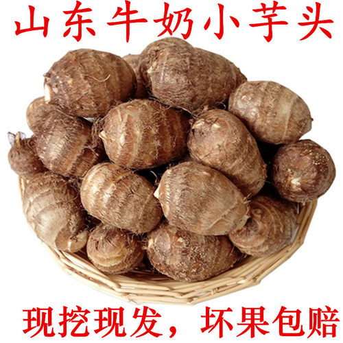 【现挖现发】新芋头山东新鲜软糯芋头农家芋仔粉糯香牛奶小芋头