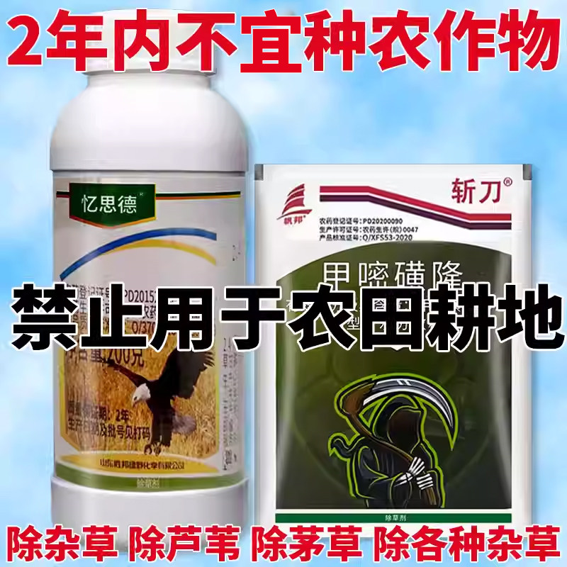 空地矿区开荒铁路公路绿化沿线荒地甲嘧磺隆专用杀烂根除草剂农药