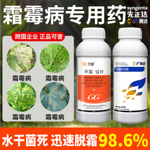 霜霉病效特专用药甜黄瓜葡萄荔枝烯酰吗啉精甲霜灵代森锰锌杀菌剂
