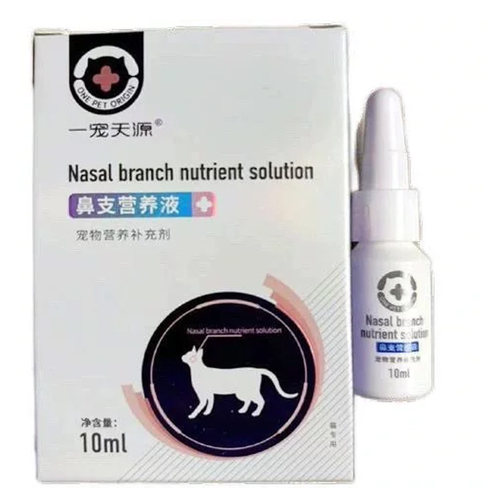 鼻支康猫角膜结膜问题鼻子红肿