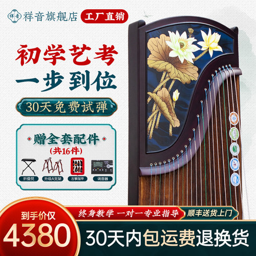 专业演奏古筝琴忆铭初学
