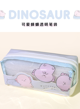 日系治愈收纳包可爱蝾螈小众笔袋透明大容量ins小学生清新文具盒