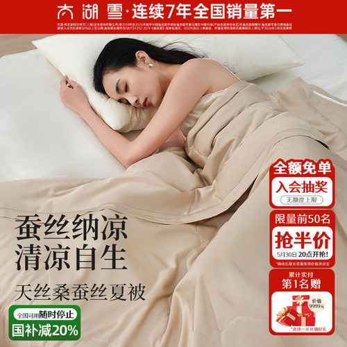 太湖雪100%桑蚕丝填充夏被