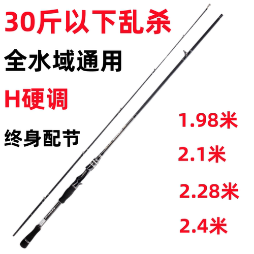进口高碳雷强路亚竿H调套装打黑