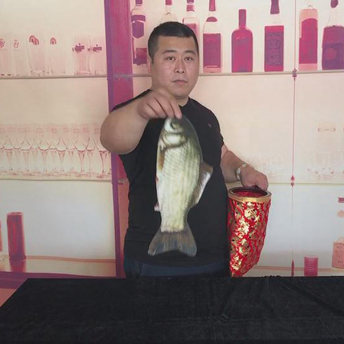 简单易学大卫魔术道具舞台乾坤袋变鱼空袋出物变拉花折叠魔术鱼