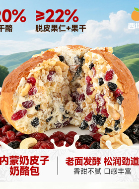 西域美农内蒙奶皮子奶酪包128g*4坚果休闲小吃零食早餐非全麦面包