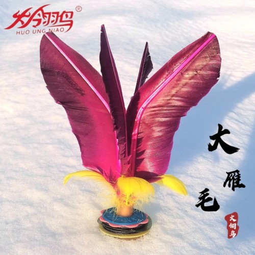 儿童小学生运动健身大雁火翎鸟