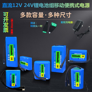 锂电池组大容量直流户外移动电源锂电瓶可充电器变压器12V 24V