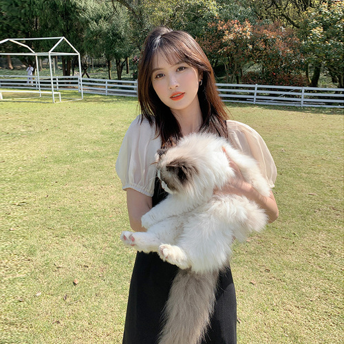 约克维尔 ZB256116426