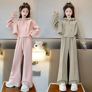 大童秋季 女童秋裝 連帽衛(wèi)衣套裝 女孩洋氣時髦直筒闊腿褲 韓范兩件套