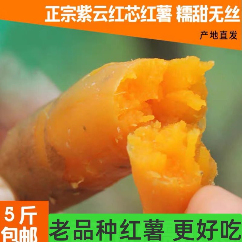 贵州紫云红心薯新鲜现挖红芯红薯地瓜番薯山芋粉糯香甜皮薄软糯甜