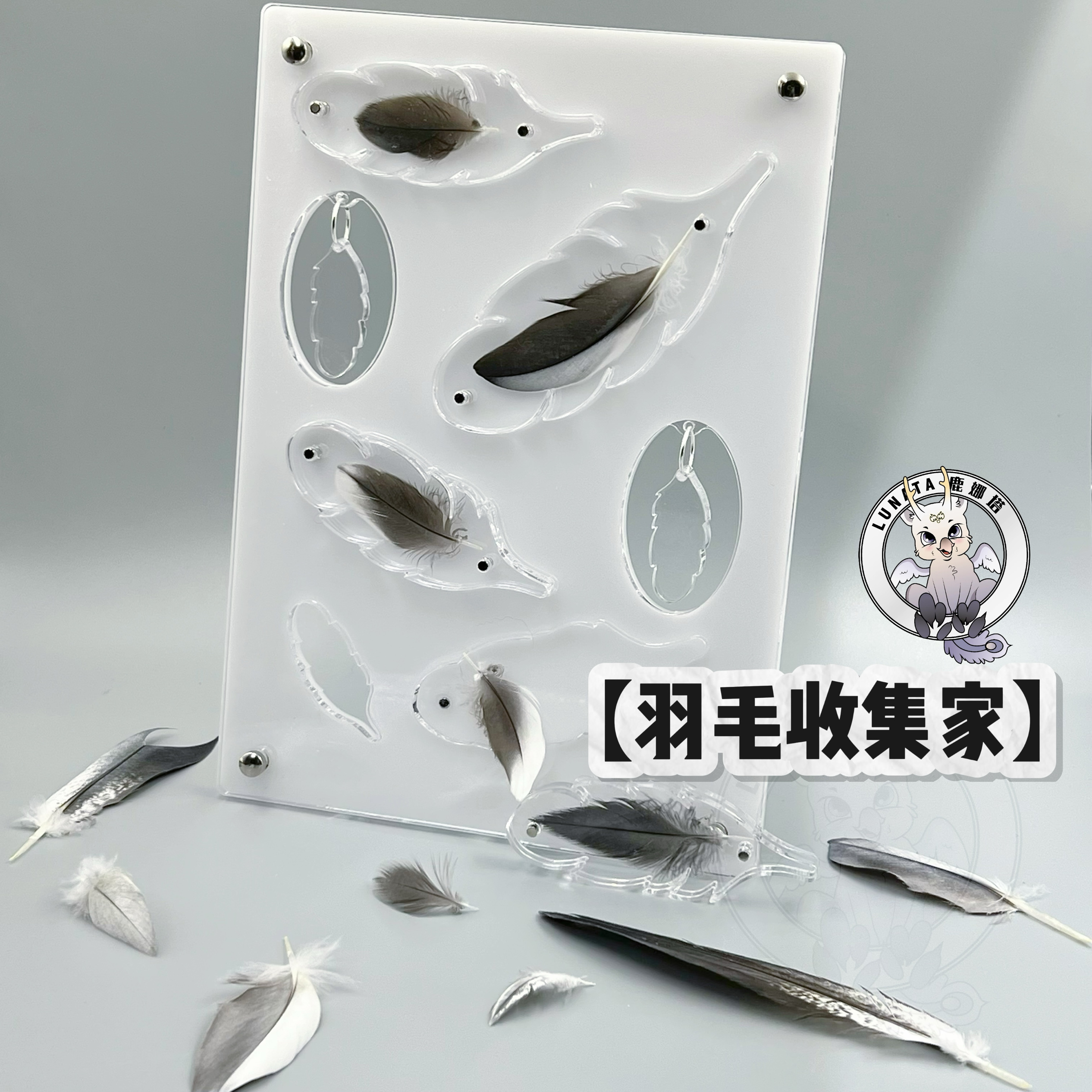 【羽毛收集家】亚克力羽毛相框材料包鹦鹉羽毛收集器纪念摆台DIY