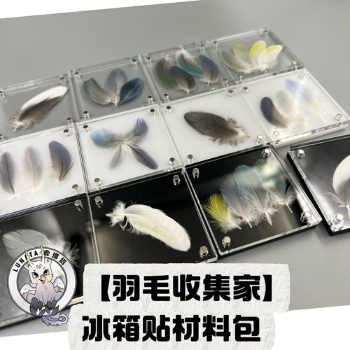 【羽毛收集家】亚克力冰箱贴材料包鹦鹉羽毛收集器纪念冰箱贴DIY