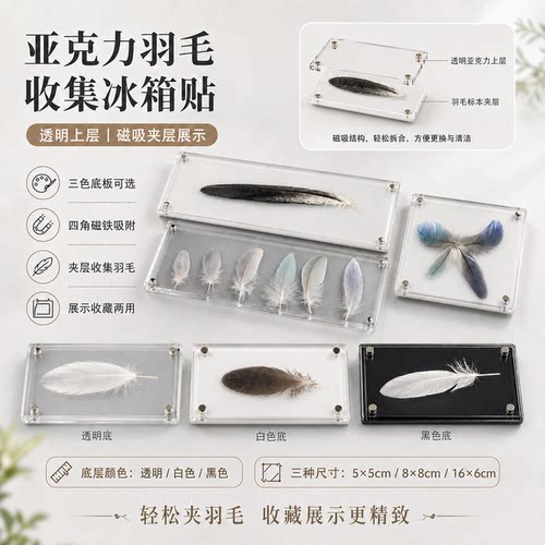 【羽毛收集家】亚克力冰箱贴材料包鹦鹉羽毛收集器纪念冰箱贴DIY